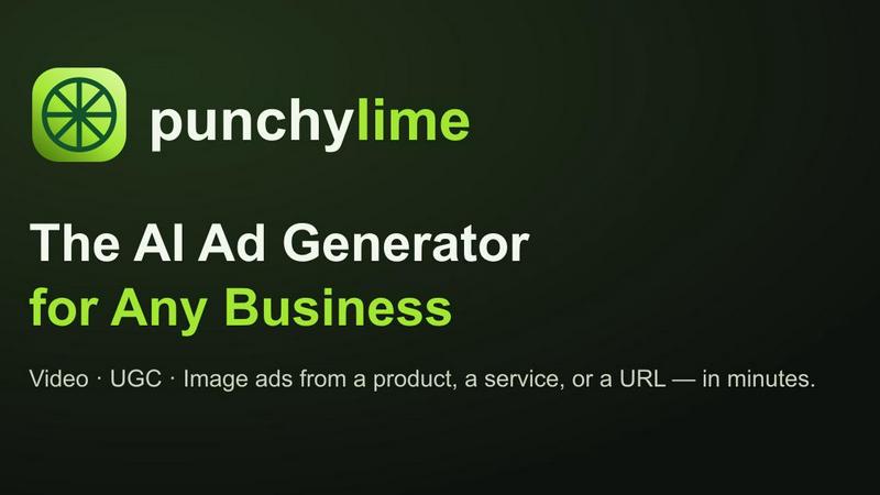 Punchylime application interface and features